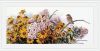 1660949786_-black-eyed-susans-and-phlox-sk208.thumb.jpg.7899bc554b980b913303774678957568.jpg