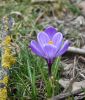 1972212799_DSC_6086(2).thumb.jpg.976eace513723ef141847e976cd01235.jpg