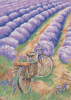 2022-04-14_18-10-23.thumb.png.8d6f5578b53114c235eb697cfc81f814.png