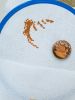 20220122_125705.thumb.jpg.02fc08a67586cf9923684bdeee2ec135.jpg
