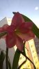 20220402_215041.thumb.jpg.378253b619cc2e5c5d86cae4d6c90df1.jpg