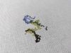 20220410_182329.thumb.jpg.f8f9b6057d965c6a0e7883eded4965dd.jpg