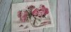20220424_144103.thumb.jpg.ffed87d6cb6fc7b014d8ae115ab87f46.jpg