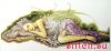 29875.thumb.jpg.253a701b161169a3fbf38d865aac30d4.jpg