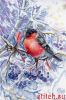 41226.thumb.jpg.0c82a7197882888df2486b3121407cac.jpg