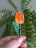 9E0A7BBB-3C28-4CD2-8BF0-A45E51CF85D2.thumb.png.e6b1484499506b0fa3842ced8a7f02e2.png