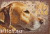 AA5C19E9-34DC-45B7-8790-15FDF5455249.thumb.jpeg.e1378bda84152487d540d32fca159feb.jpeg