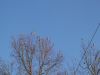 DSCF2114.thumb.JPG.4e3766edbc74d206b9abe7ff27344ffb.JPG