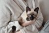 DSC_5876.thumb.JPG.5b8b8f1ce1be47e3485b7ca8c89900f7.JPG