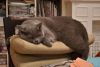 DSC_5897.thumb.JPG.63a842b190b6e614cf2783c693449874.JPG