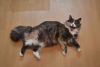 DSC_5918.thumb.JPG.b74a5668b7f31cf0e39b6ea88f61c9d8.JPG