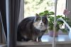 DSC_5926.thumb.JPG.0698c655dd20f98d24570f12098d5053.JPG