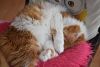 DSC_5935.thumb.JPG.492e33c7753dfe0aba16c1d48c17d53e.JPG