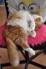 DSC_5936.thumb.JPG.02b7cf1040dbcae3561f97e1005ee3ac.JPG