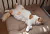 DSC_5948.thumb.JPG.79e6664225757066a4886a789f097081.JPG