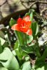 DSC_6022.thumb.JPG.1739f011022b66ab4b2edf9c5899033b.JPG