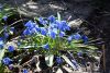 DSC_6026.thumb.JPG.dedf2bde8bc876ff1bee8cbab333f41c.JPG