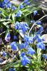 DSC_6028.thumb.JPG.1a42fcd2a022176e8f2d7d9d03e813e7.JPG