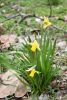 DSC_6057.thumb.JPG.2ac038a23f8a5b2a1e2ef194fc1979d3.JPG