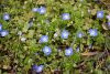 DSC_6067.thumb.JPG.415415fd97a241230391b8e27c67831f.JPG?1648834844434