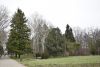 DSC_6080.thumb.JPG.0b2fa73e1e246c98ac9fd46ab6208057.JPG