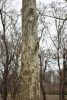 DSC_6084.thumb.JPG.32cc0a48819ff6b0951631620756effc.JPG