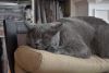 DSC_6097.thumb.JPG.af81cbab52bcd3dc942db3e53a4b0523.JPG
