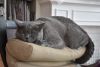 DSC_6098.thumb.JPG.ca33e6023d6db9023c588fa74957c4d7.JPG