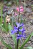 DSC_6134.thumb.JPG.e8877e30685eb8dfa533553256d9f3a7.JPG