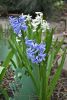 DSC_6136.thumb.JPG.c3facf4a2588d610325ee611b0c27c23.JPG