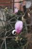 DSC_6144.thumb.JPG.d782f89b1b6fe6ff79a8e030ff1a47c1.JPG