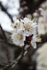 DSC_6158.thumb.JPG.a321c639ca3857a8a96470a2e3bd4a62.JPG