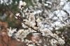 DSC_6165.thumb.JPG.11e563ba2c0fdcbe6421524c8855ba35.JPG
