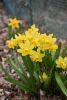 DSC_6179.thumb.JPG.3b5b173e46fa2b5cdbae21f381da683f.JPG