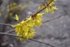 DSC_6187.thumb.JPG.30ab91a8b1272972632ed5f968ef3b92.JPG