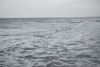 DSC_6193.thumb.JPG.bc4becfd3fc310d747cad67c8dff3e03.JPG