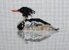 DSC_6193b.thumb.jpg.e17d7c6cfd90a458eb2a0d59354a6e39.jpg