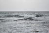 DSC_6207.thumb.JPG.7c8683d023899bffd3895aa95957c55a.JPG