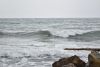 DSC_6213.thumb.JPG.7ab75cc23dfdcad8326612b6eb8e6ef5.JPG