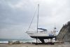 DSC_6244.thumb.JPG.7f528e0067ed48e870cada608401a47a.JPG