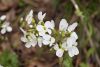 DSC_6260.thumb.JPG.8260950b55c9cb66f754e5885e9b8546.JPG
