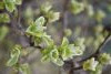 DSC_6277.thumb.JPG.7cc79b09dfd2ff667cce0b7d5528d8d0.JPG?1649437189060