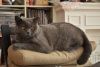 DSC_6291.thumb.JPG.570807cfa1c17d516db3b7745603c8c0.JPG