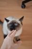 DSC_6299.thumb.JPG.b83a6fb0b656c1d54cd1587e2aabfb8c.JPG
