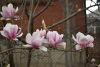 DSC_6312.thumb.JPG.32fb062300b57b79e04990e4b3095eed.JPG