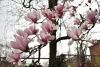 DSC_6317.thumb.JPG.805d6a22ddfeeb625032e9050d3d5f21.JPG