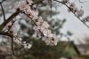 DSC_6325.thumb.JPG.3c3d277c8a257e0f92a525358cb4ba56.JPG