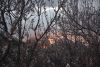 DSC_6362.thumb.JPG.ce564196f523572d09a3d4fcb4cb211e.JPG