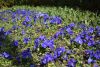 DSC_6365.thumb.JPG.28d09c6db60386e6a462b9fd2d8d7995.JPG