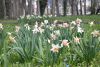 DSC_6370.thumb.JPG.e357b4482f035ceaf49914303b0e9e27.JPG